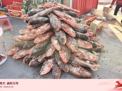 -卧龙湖