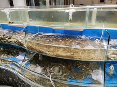-四海蒸鲜蒸汽海鲜自助(北戴河店)