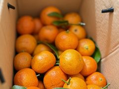 -袁山山重庆火锅(丈八北路店)