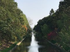 -上海长兴岛郊野公园