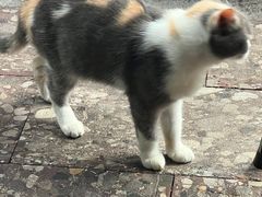 -小厨子私房菜·云南美食店