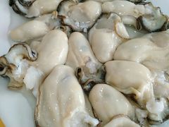 -濠轩阁特色生蚝火锅(水湾路店)