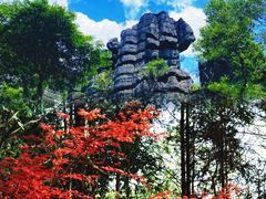 -梭布垭石林景区