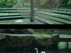 -兰亭风景区