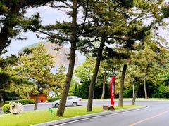 -棒棰岛宾馆景区