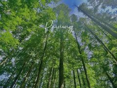 -东坡赤壁风景名胜区