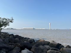 -上海吴淞炮台湾国家湿地公园
