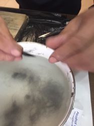 -禧婴婴儿理胎发·胎毛笔定制纪念品(新街口店)