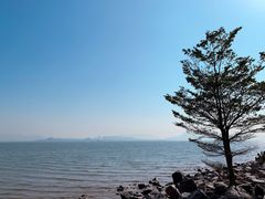 -深圳湾公园(南山区)