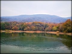 -紫霞湖公园