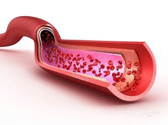护血管、促循环，受益一辈子