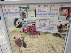 -欧尚超市苏州店停车场(金鸡湖路店)