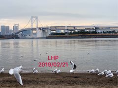 -台场海滨公园船码头