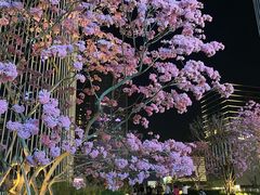 -深圳湾万象城(南山店)