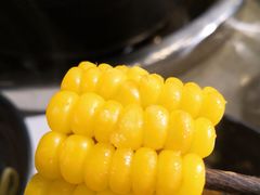 玉米-钢管厂五区小郡肝火锅串串香(清河店)