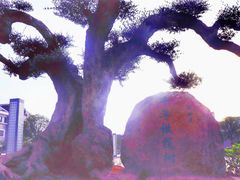 -溪口-滕头旅游景区