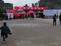 -秀丽东方