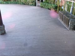 -活水公园