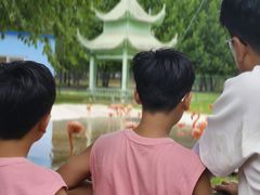 -秦皇岛野生动物园