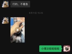 -翊宠yipet猫狗购宠庄园犬舍•猫舍