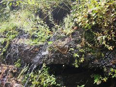 -苍山感通索道