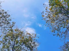 -深圳市当代艺术与城市规划馆