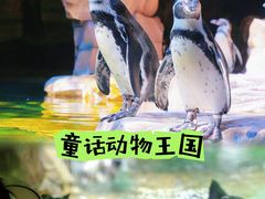 -长鹿旅游休博园