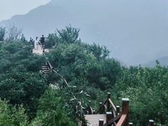-大岭沟猕猴桃谷风景区