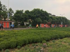 -北京张裕爱斐堡酒庄