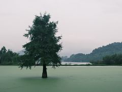 -青山湖景区