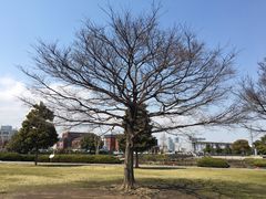 -横滨红砖仓库1号馆