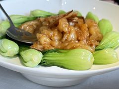 鲍汁烧花胶-开海·红岛海鲜虾水饺(石老人店)