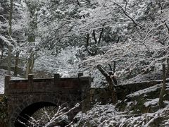 -莫干山风景区