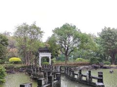 -深圳国际园林花卉博览园