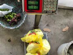 -马陆小张葡萄园农家乐