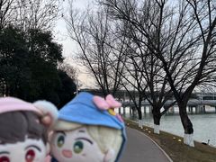 -灞河西岸滨河公园