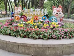 -上海共青森林公园