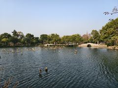-无锡蠡湖国家湿地公园-蠡园