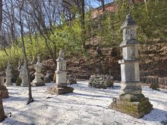 -少华山国家森林公园