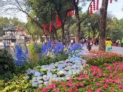 -荔湾湖公园
