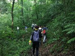 -西湖风景区十里琅珰-五云山