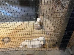 -酷嗒动物文化乐园(cutezoo西溪乐天城店)