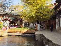 -云上珍野生菌(兴仁店)