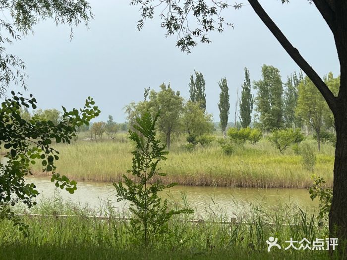 野鸭湖国家湿地公园图片