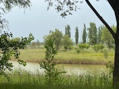 -野鸭湖国家湿地公园