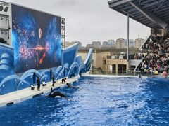 -上海海昌海洋公园