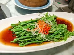 白灼丝瓜尖-懒人盐府人家(航天桥店)