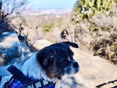 -青州市云门山风景区