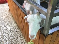 -上海大自然野生昆虫馆(东方明珠·爬宠昆虫探索中心)