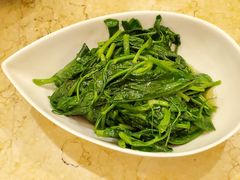 清炒豌豆尖-成都驻京办餐厅(蜀都宾馆店)